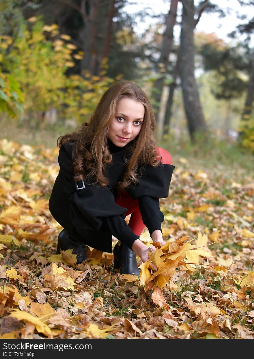 Beauty young girl sits and gathers leaves in autumn forest. Beauty young girl sits and gathers leaves in autumn forest.