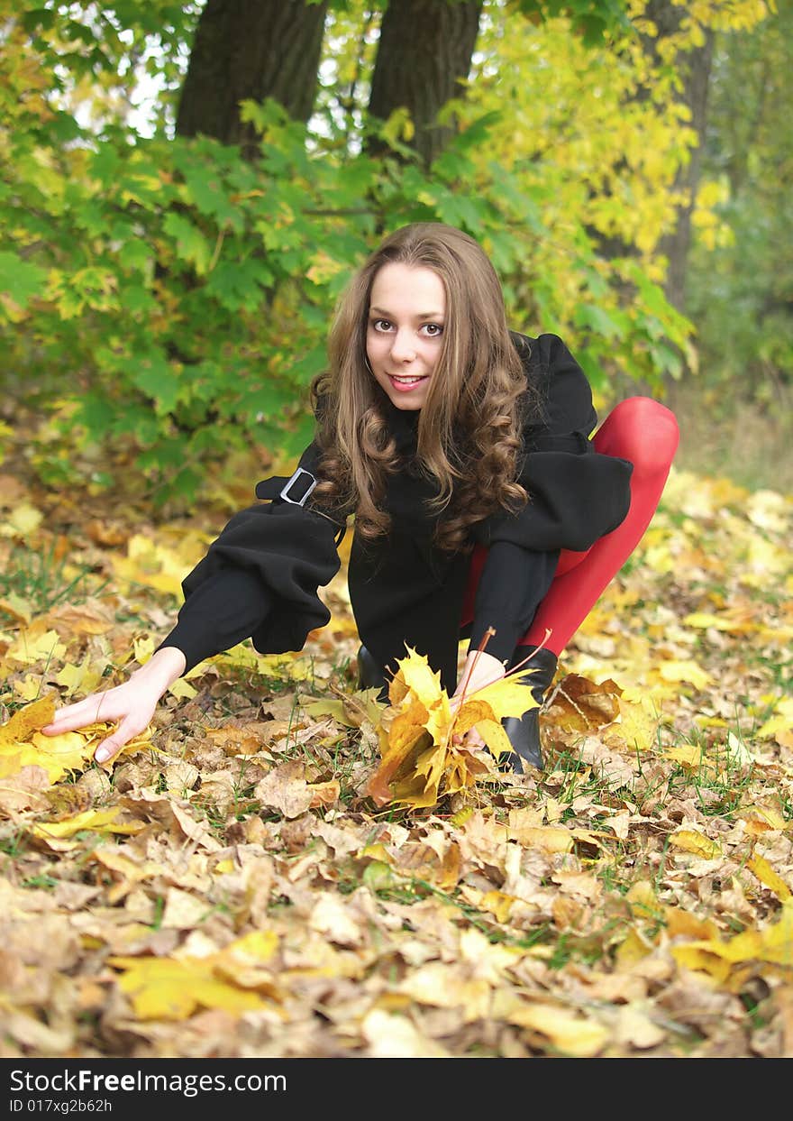 Smiling beauty young girl sits and gathers leaves in autumn forest. Smiling beauty young girl sits and gathers leaves in autumn forest.