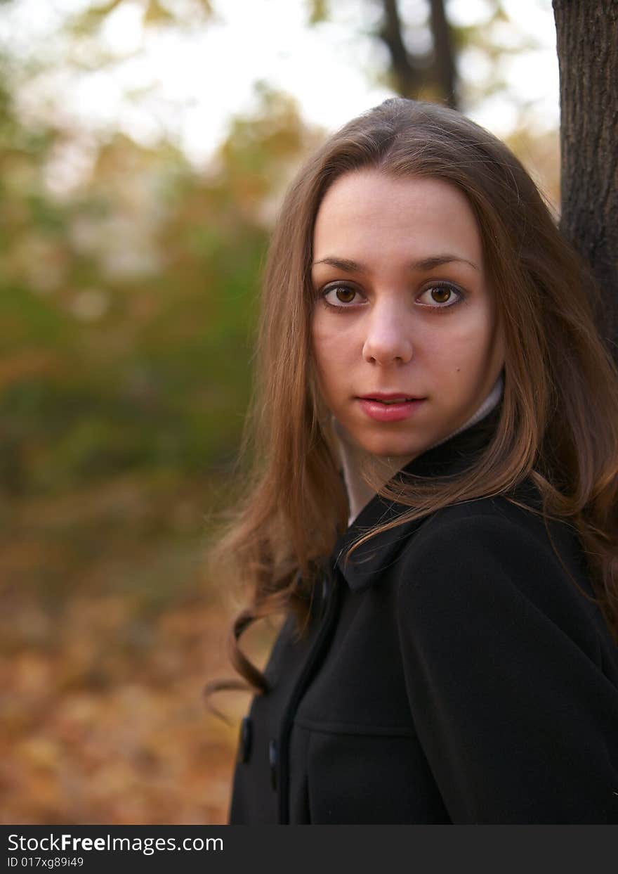 Portrait of beauty young girl in autumn forest in warm colours. Portrait of beauty young girl in autumn forest in warm colours.