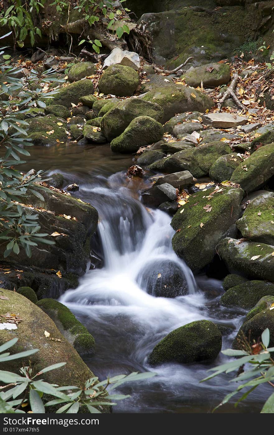 Mountain Stream