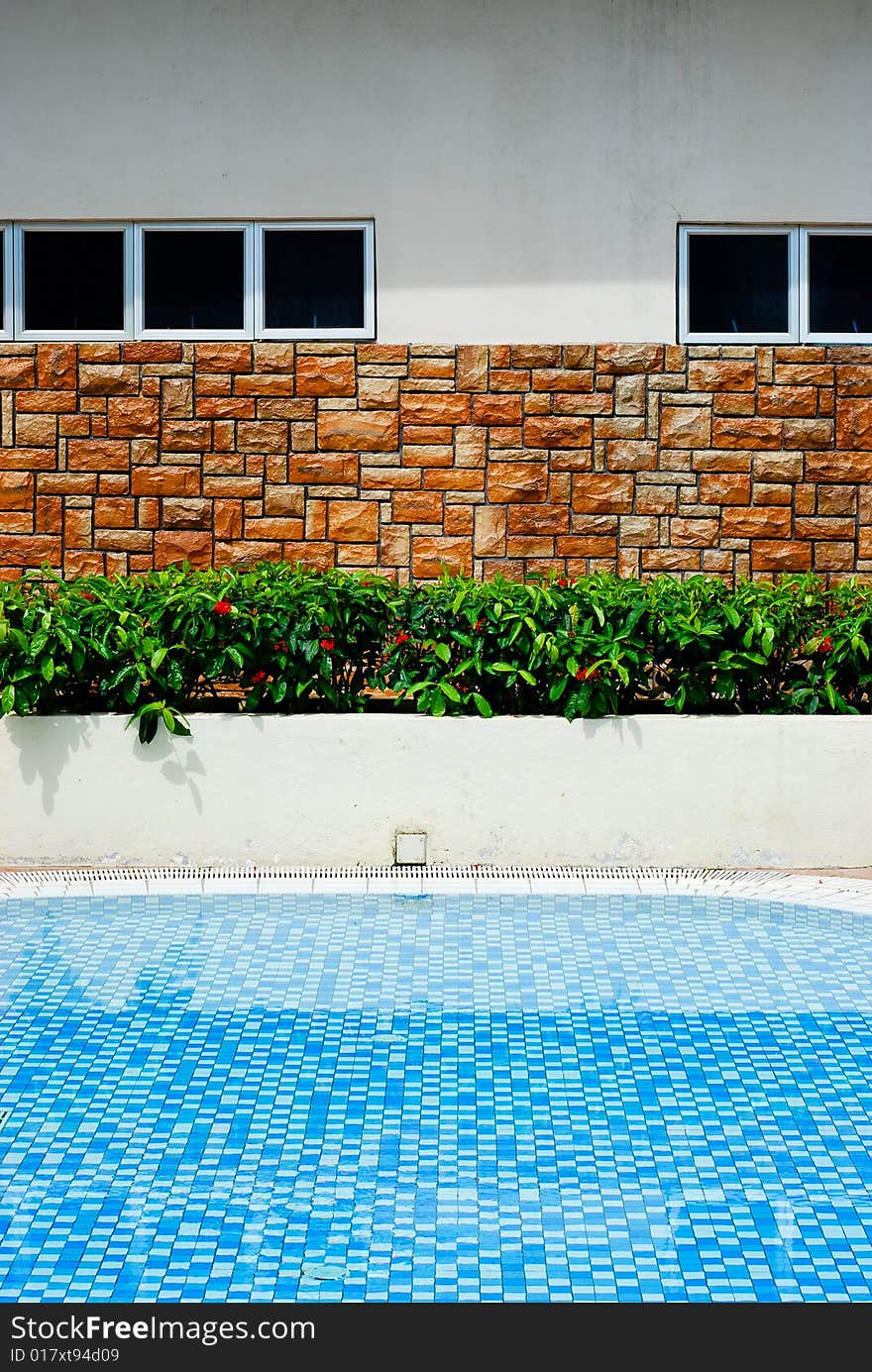 A swimming pool with a brick wall and some plants at the edge. A swimming pool with a brick wall and some plants at the edge