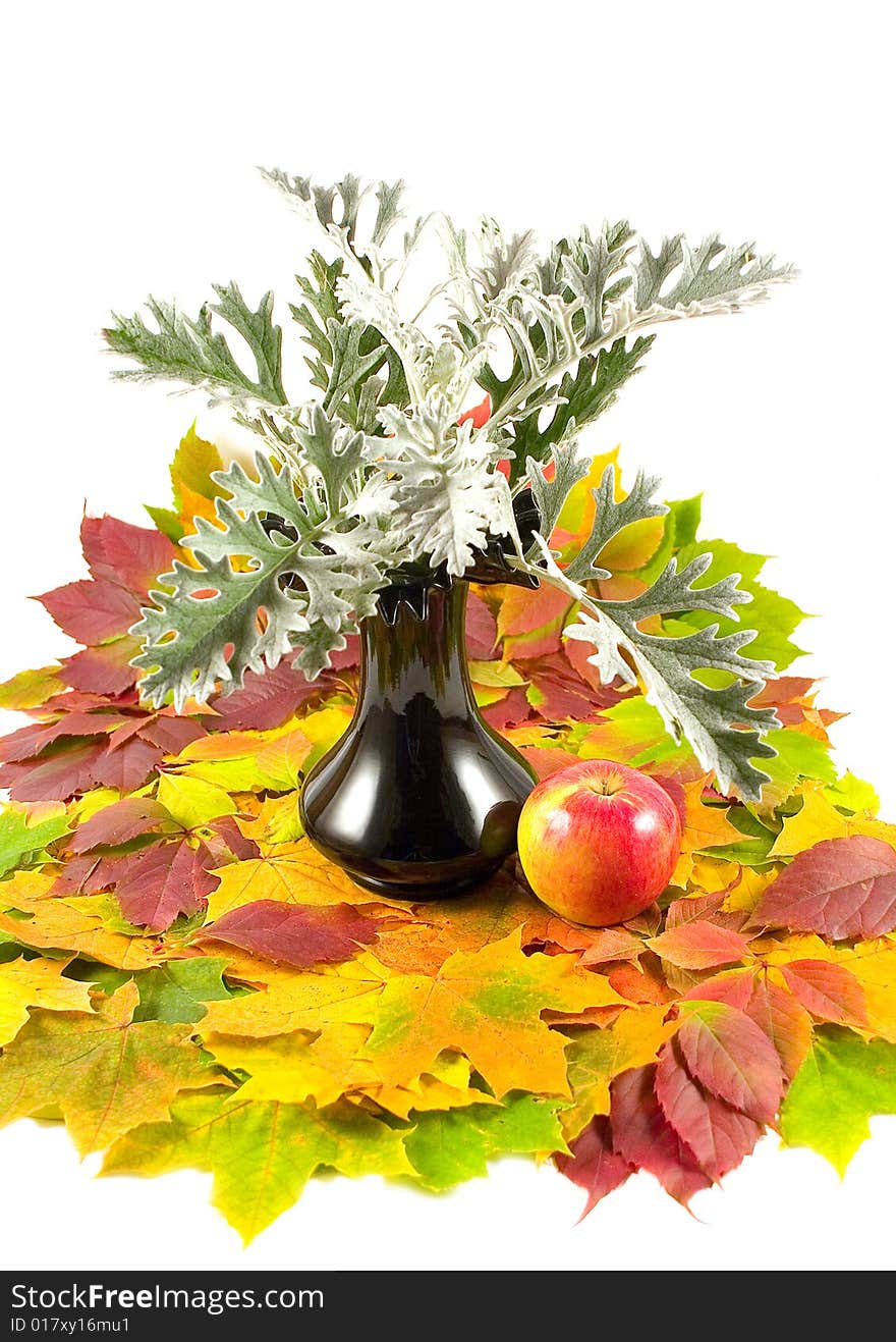 Carpet from beautiful autumn leaves with red apple in black vase on white background. Carpet from beautiful autumn leaves with red apple in black vase on white background