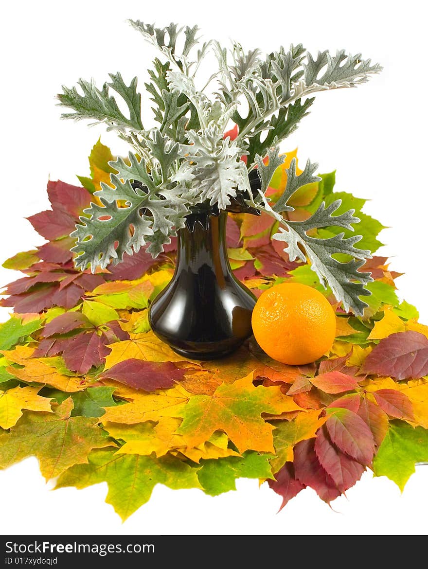 Carpet from beautiful autumn leaves with beautiful round orange in black vase on white background. Carpet from beautiful autumn leaves with beautiful round orange in black vase on white background