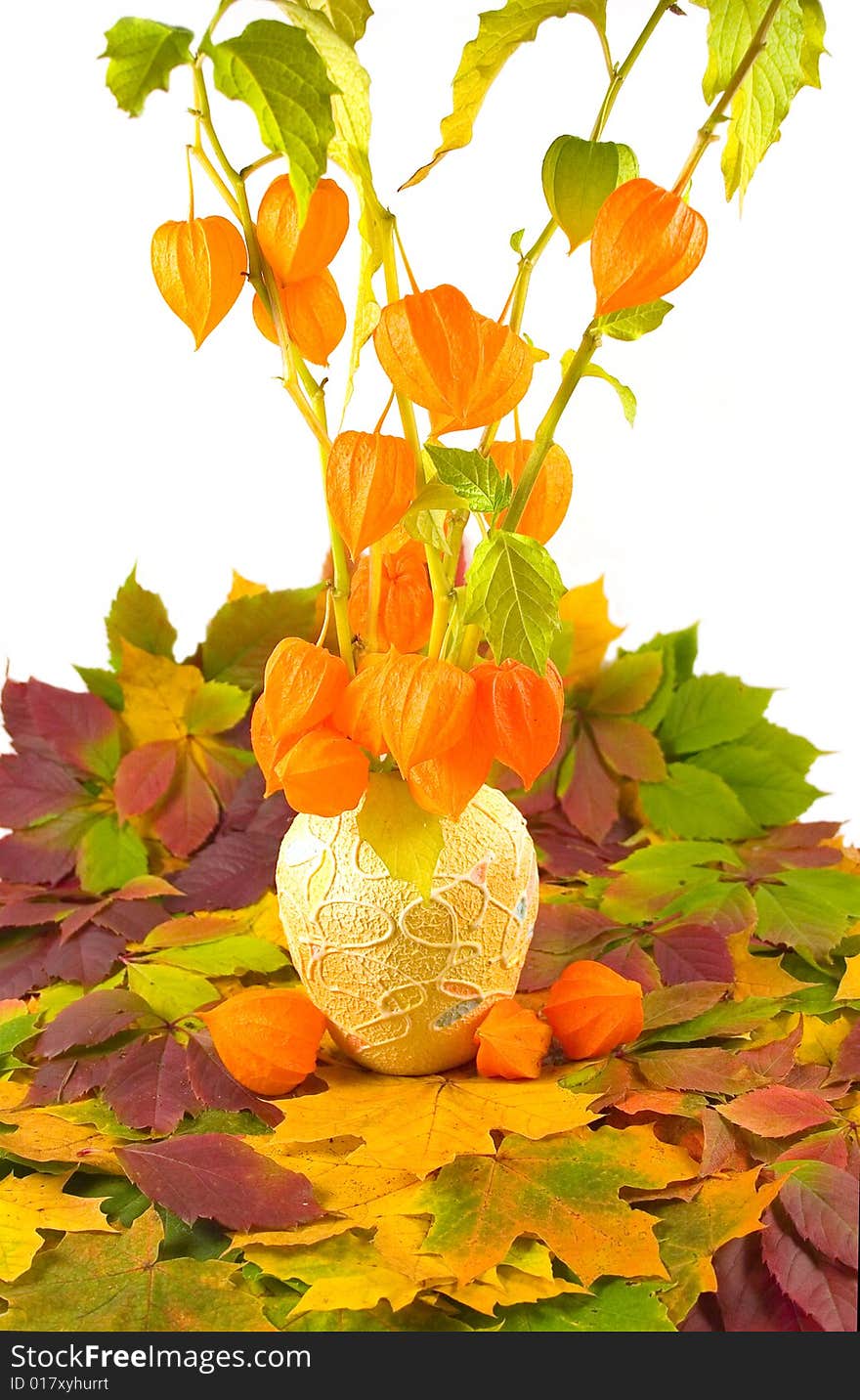 Flowers with fruits in yellow vase