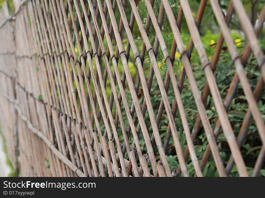 Bamboo fence in the Park