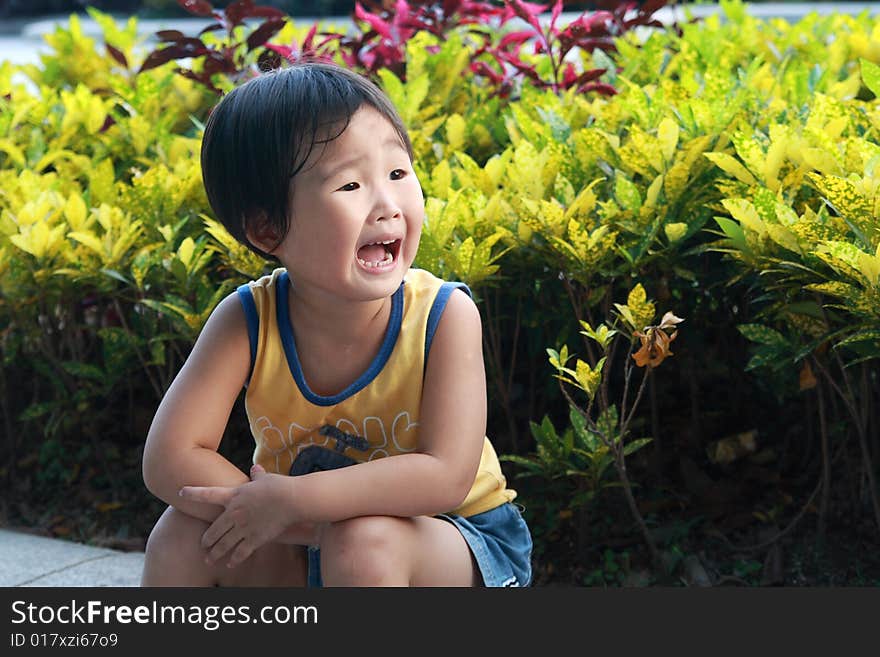 Children in a tropical garden setting