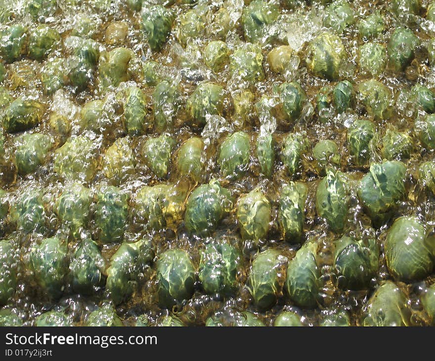 Water on green pebbles fountain