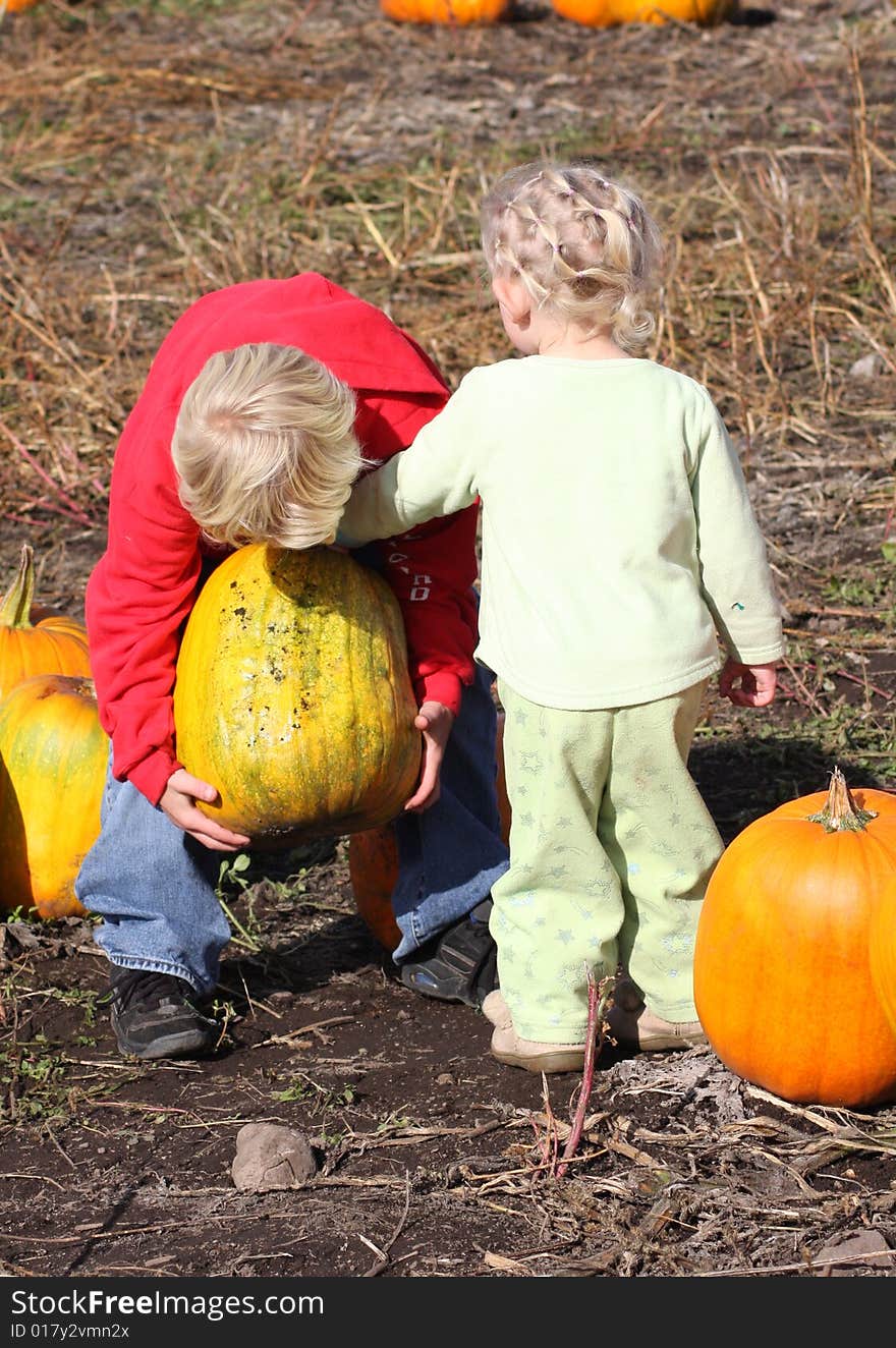 Young girl and young boy picking out a pumpkin. Young girl and young boy picking out a pumpkin