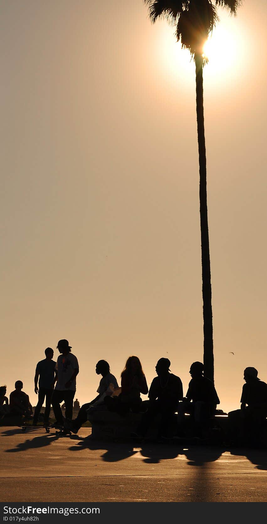 Silhouette of skaters at the beach