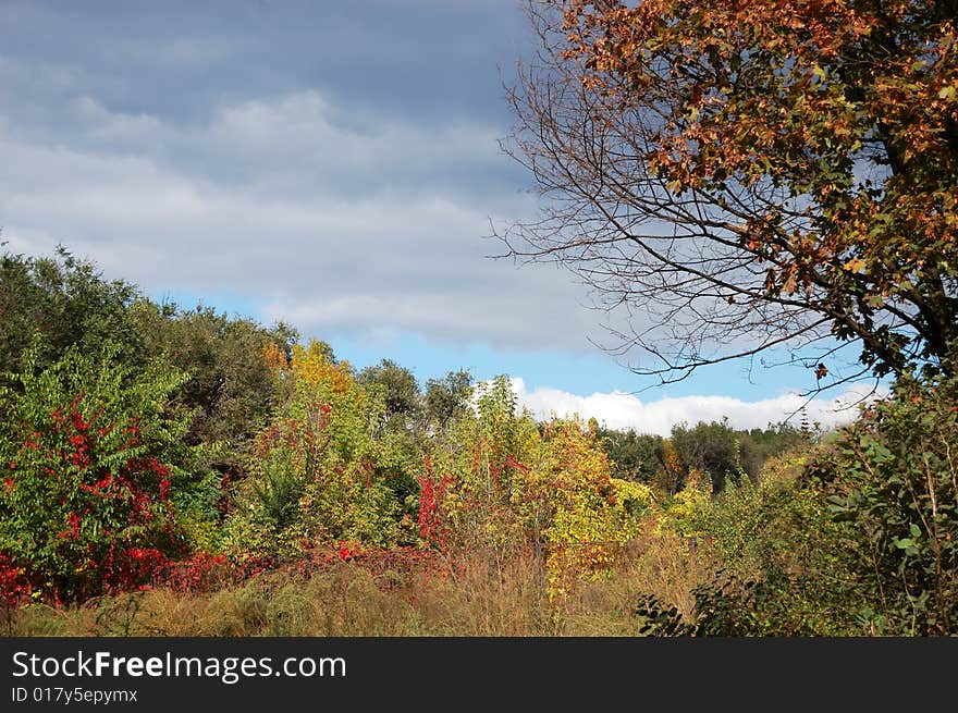 Autumn landscape - weather changing. Colored trees and dark sky