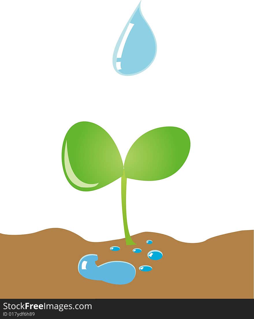 Illustration of drip down to green bud