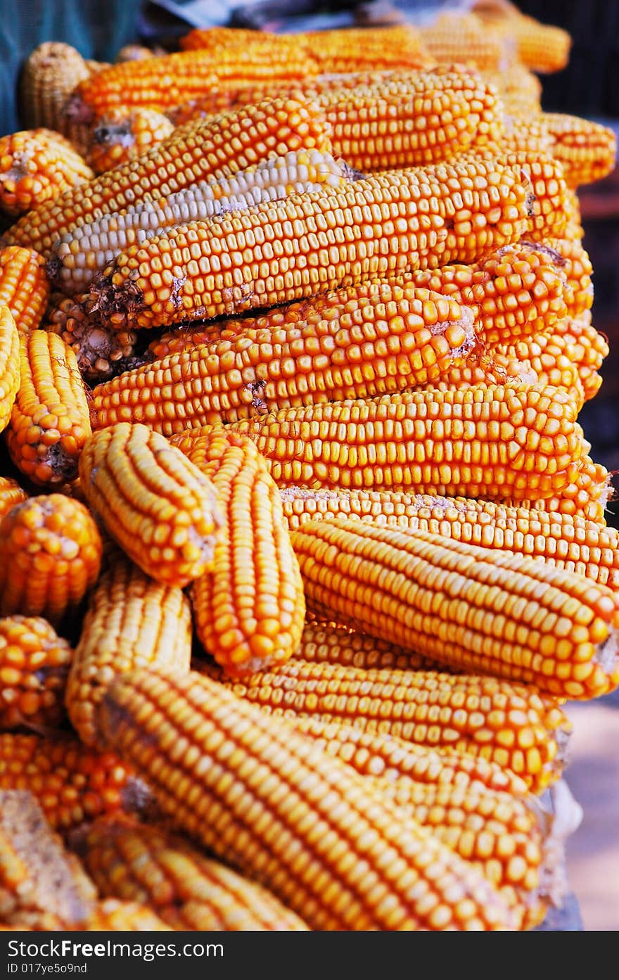 The corn places on the window. The corn places on the window