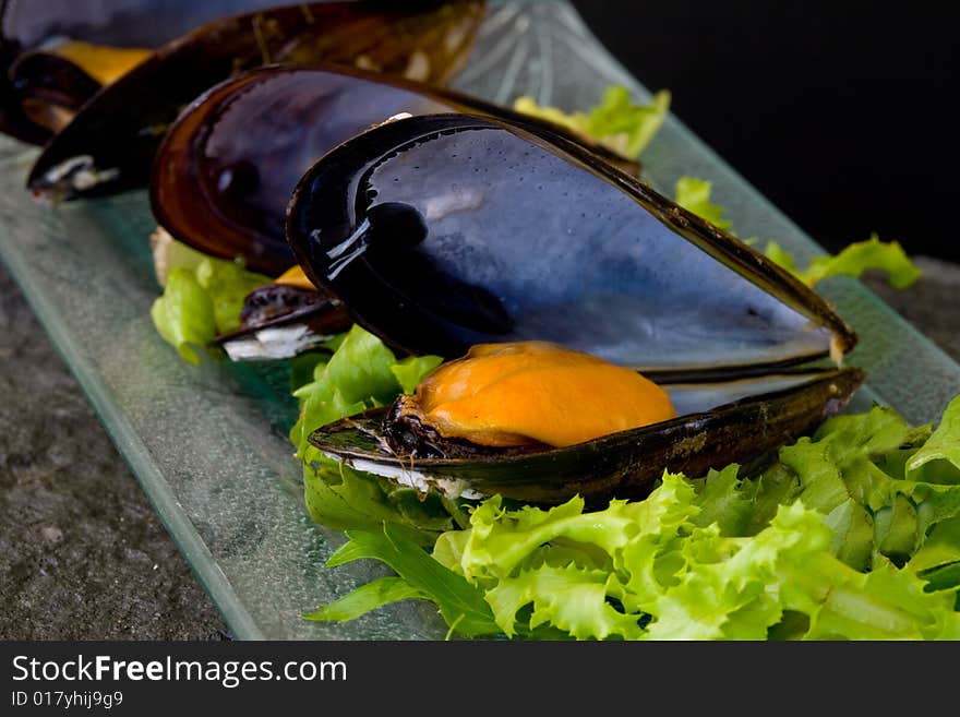 Fresh mussels boiled with parsley on grey glass platter