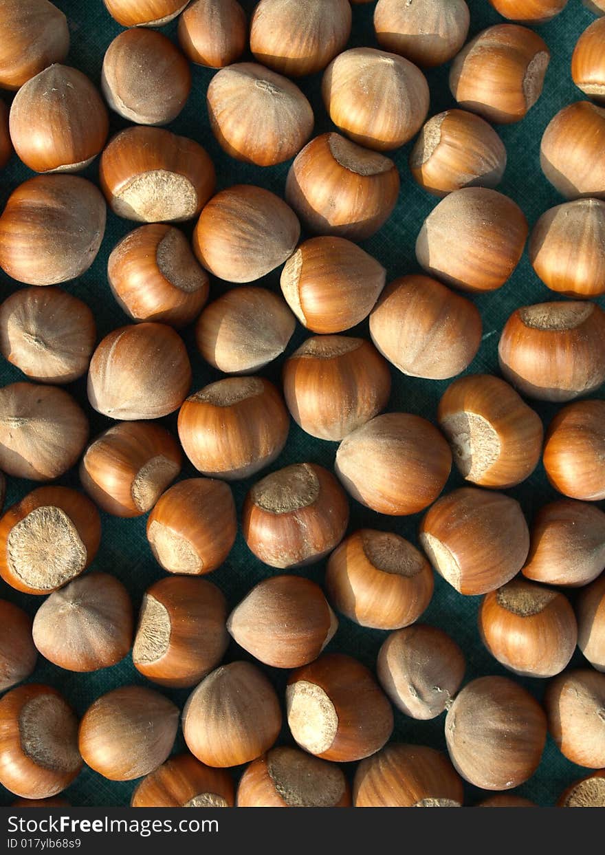 Hazelnuts  background