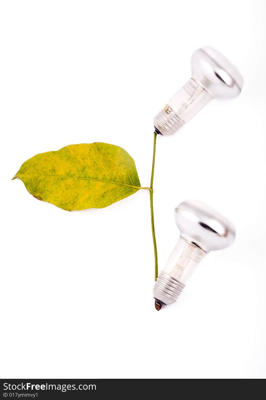 Autumn leaves with spotlight lamp on slim branch. Autumn leaves with spotlight lamp on slim branch