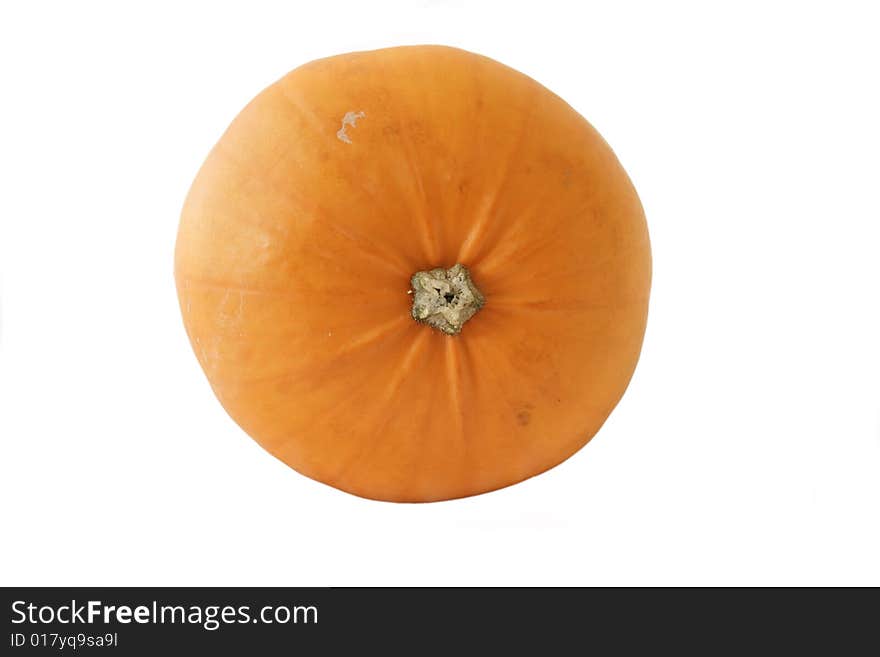 Large pumpkin isolated