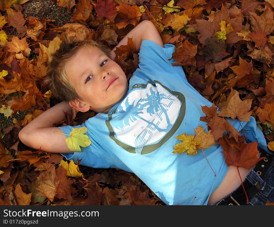 Little boy plays with autumn leaves