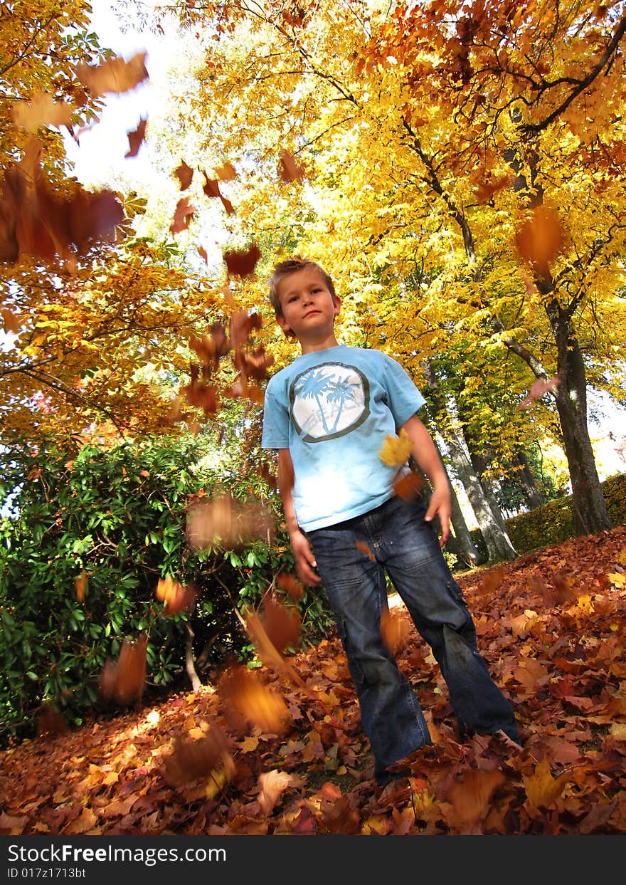 Little boy plays with autumn leaves