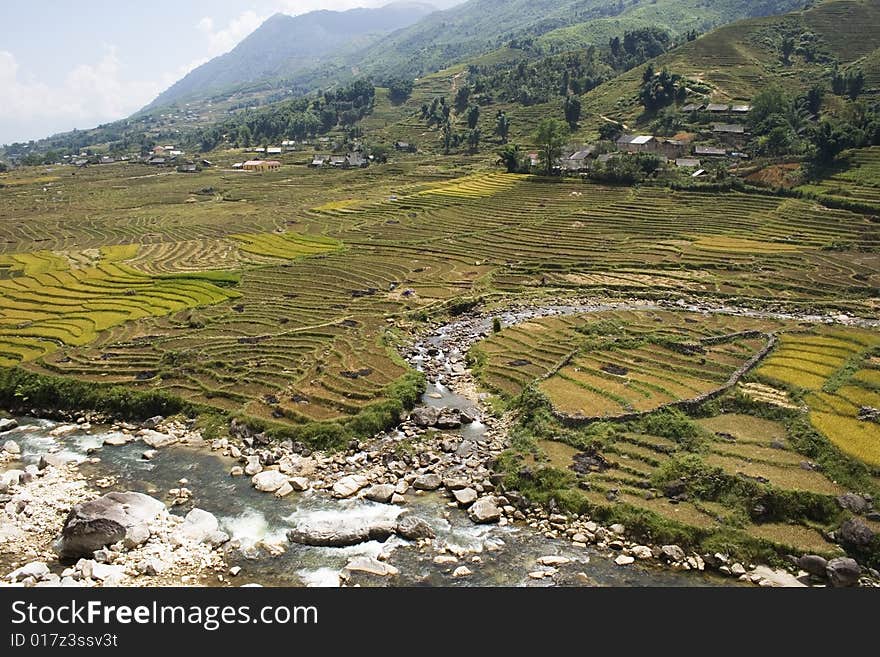 Rice Terraces on a river valley 2