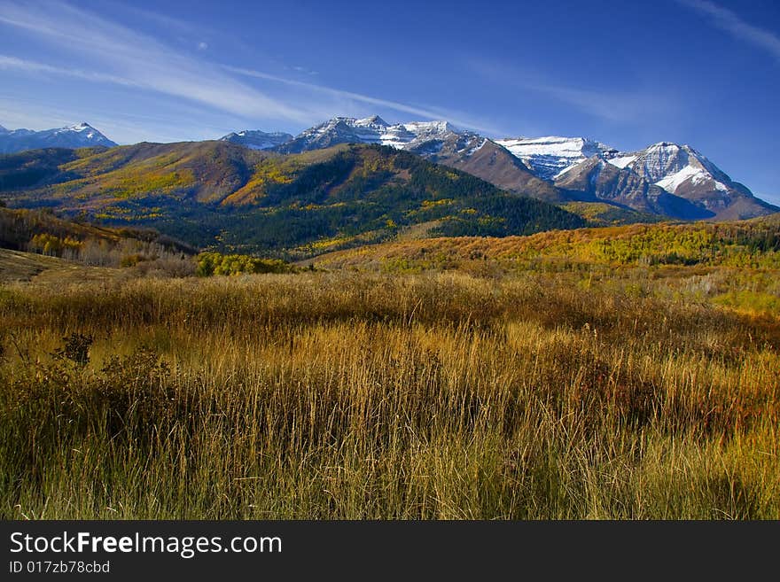 High Mountain Flat in the fall showing all the fall colors with mountains in the background