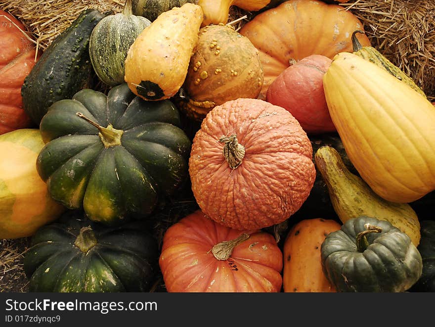 Autumn harvest of pumpkins and gourds at market.