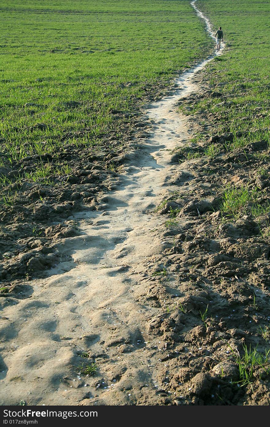 Nature field path, small figure in background,. Nature field path, small figure in background,