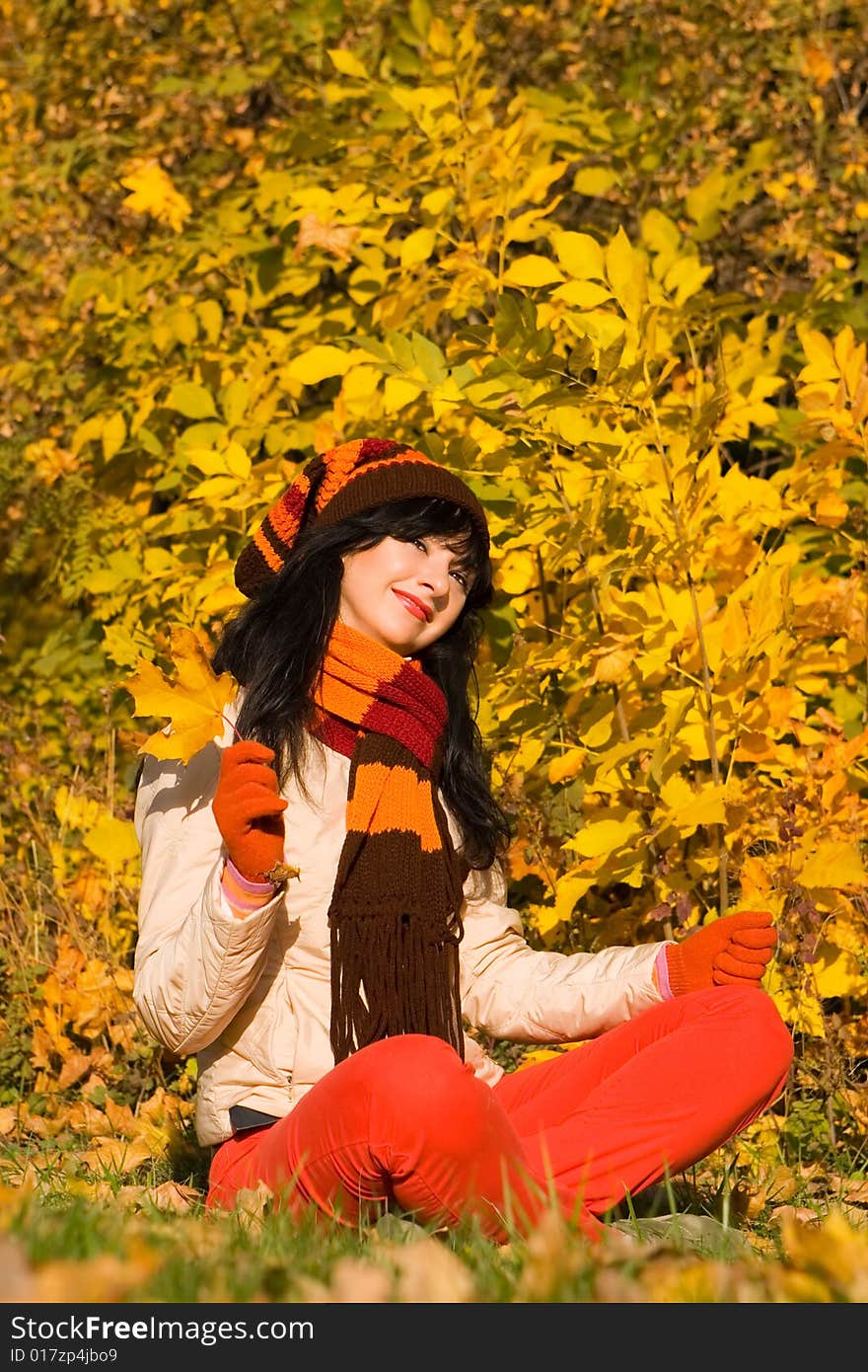 Young pretty woman in the autumn park. Young pretty woman in the autumn park