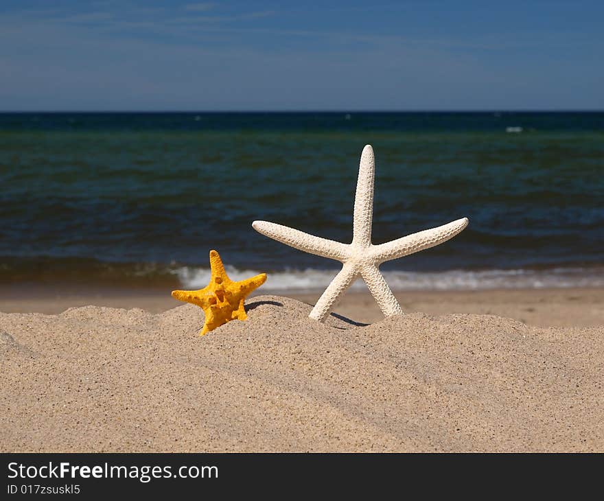 I have found two starfishes on the beach