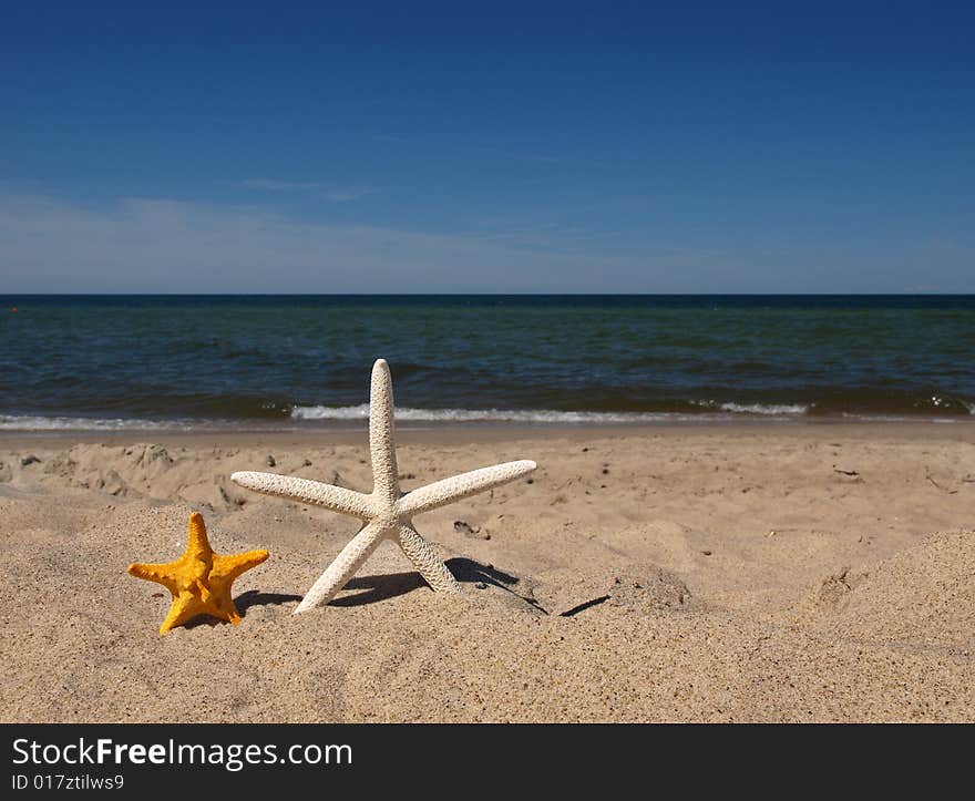 Summer with two starfishes on the beach. Summer with two starfishes on the beach