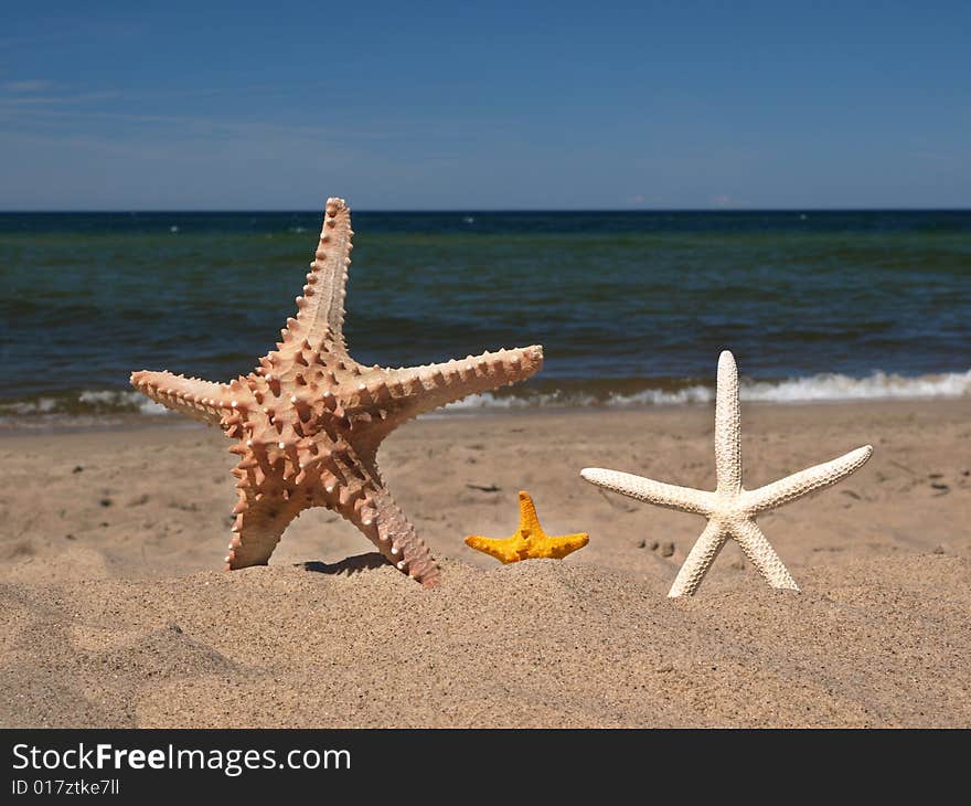 Three starfishes on the beach