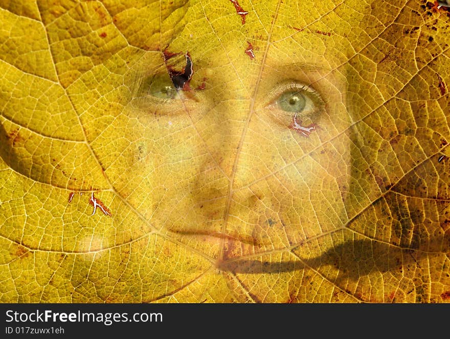 Autumn face