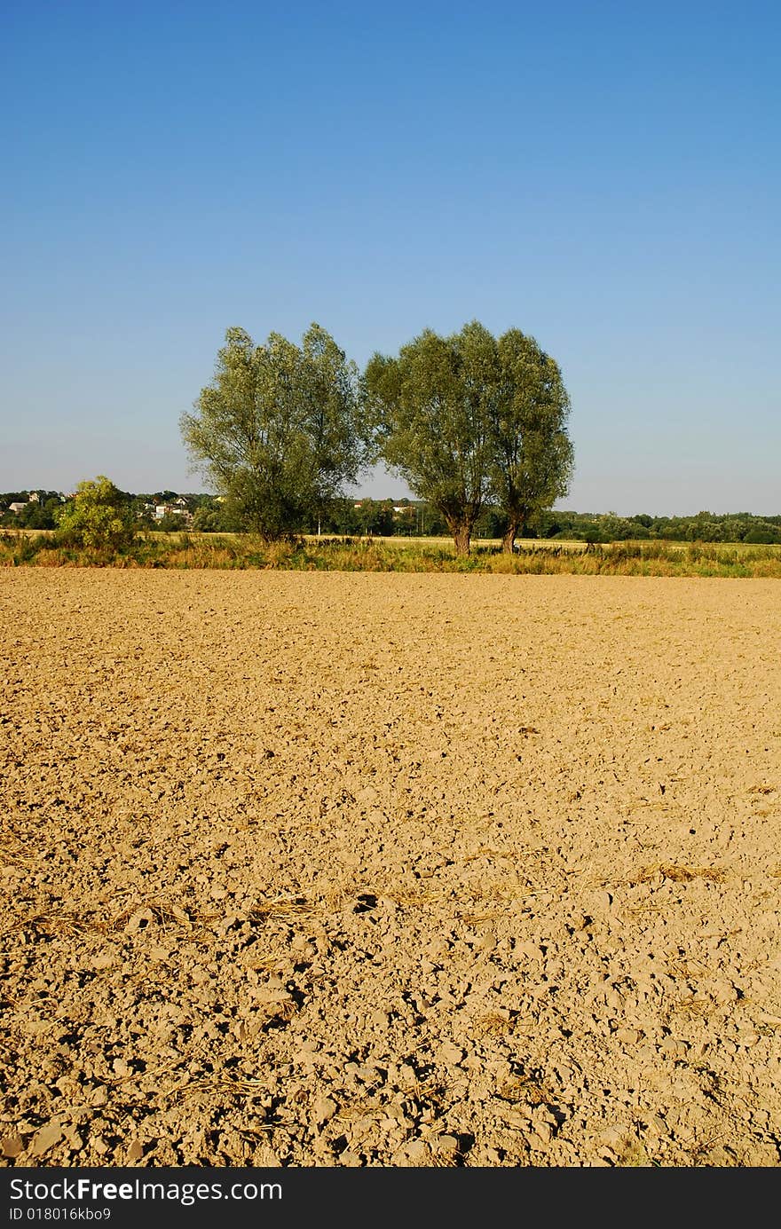 Field In Spring Time.