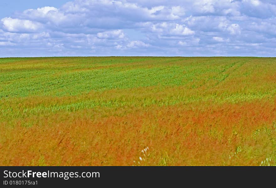 Field and sky