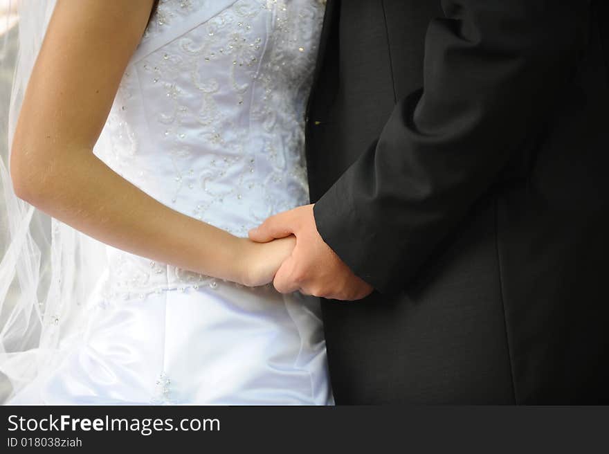 Hands of the groom and the bride