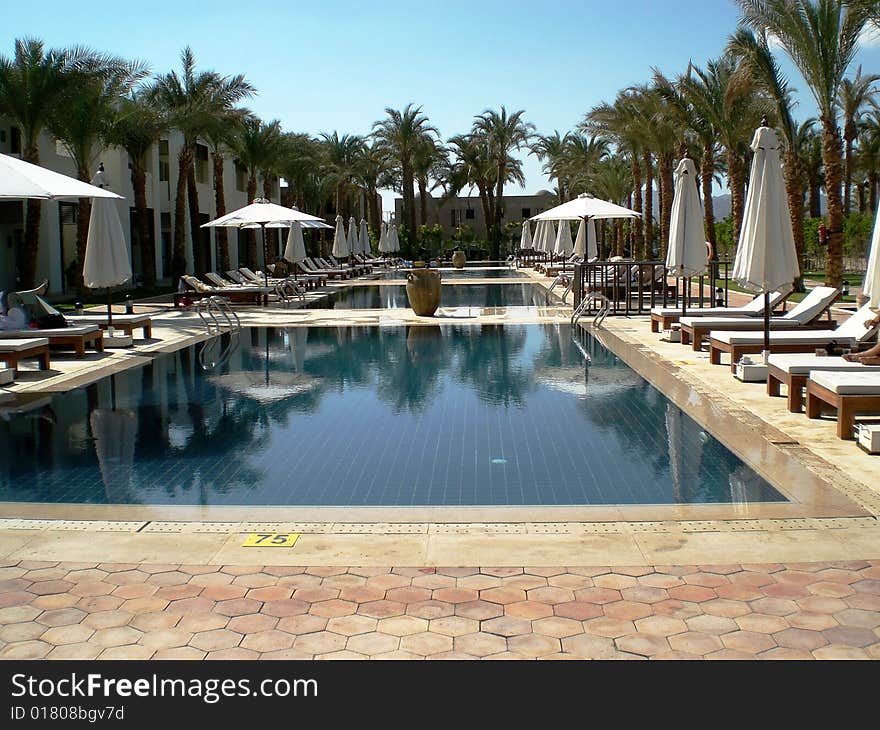 Swimming pool in reef oasis sharm el sheik with palms