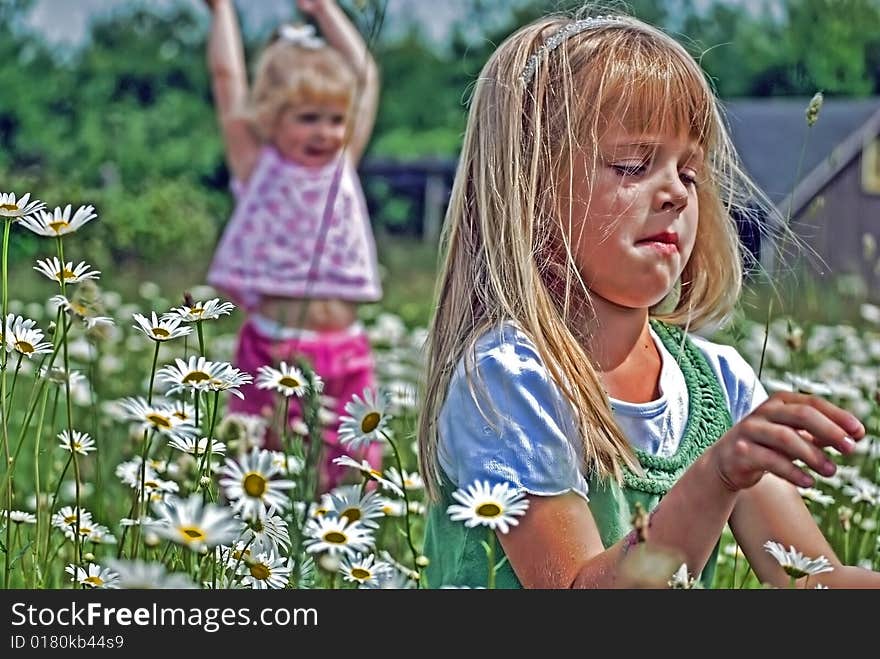 Children in a field of wild daisies. Children in a field of wild daisies.