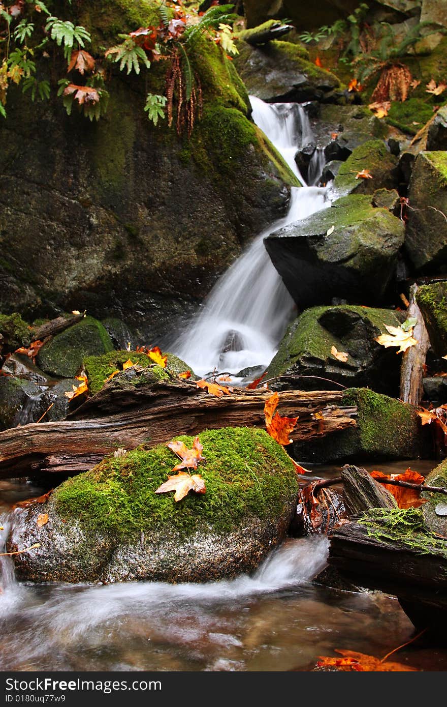 A clear, silky, white waterfall cascades through mossy boulders near Whistler, BC, Canada. A clear, silky, white waterfall cascades through mossy boulders near Whistler, BC, Canada.