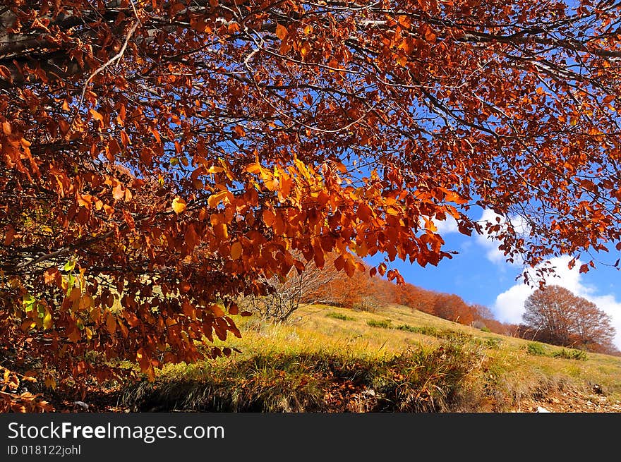 Abruzzo Autumn Landscape