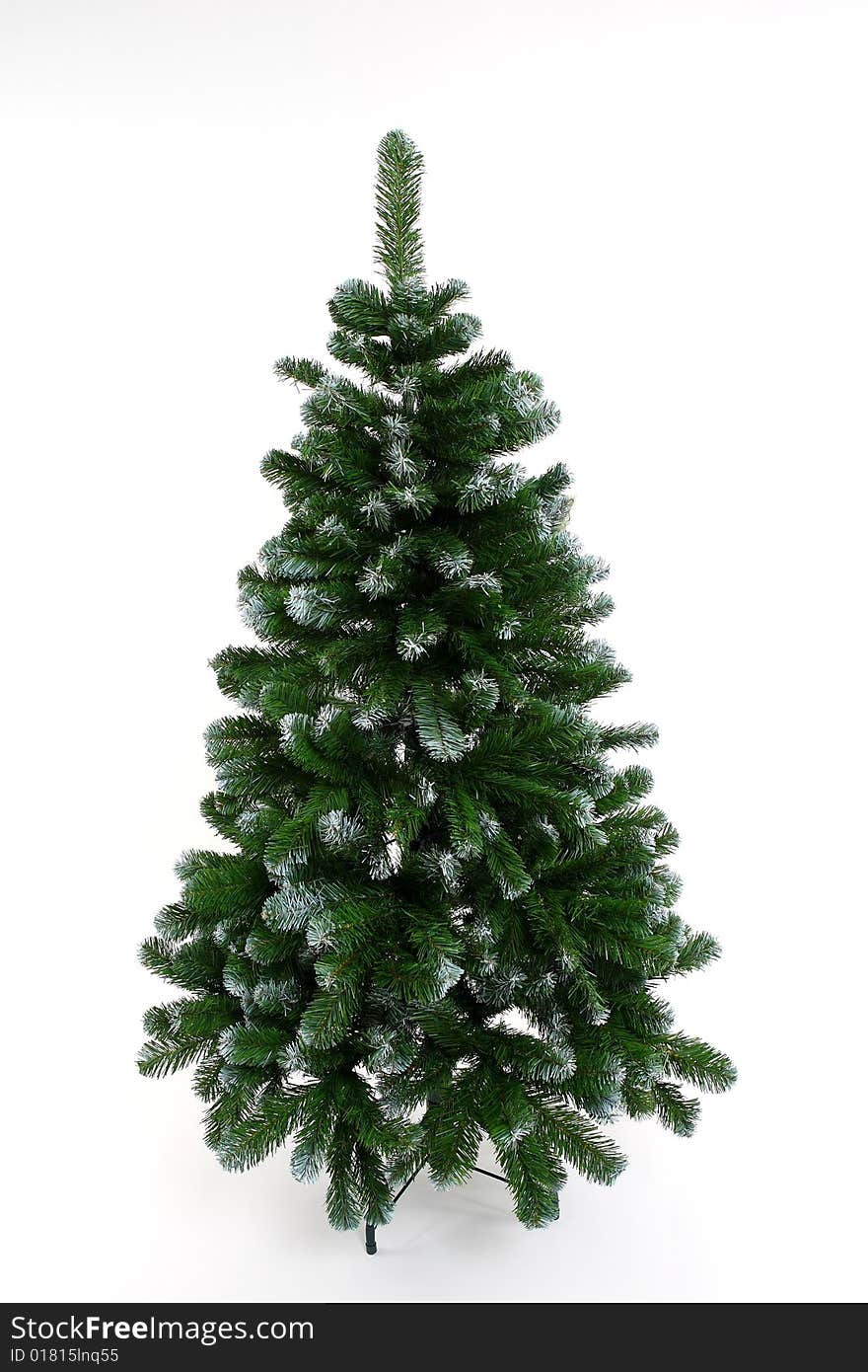 Christmas tree without any decorations