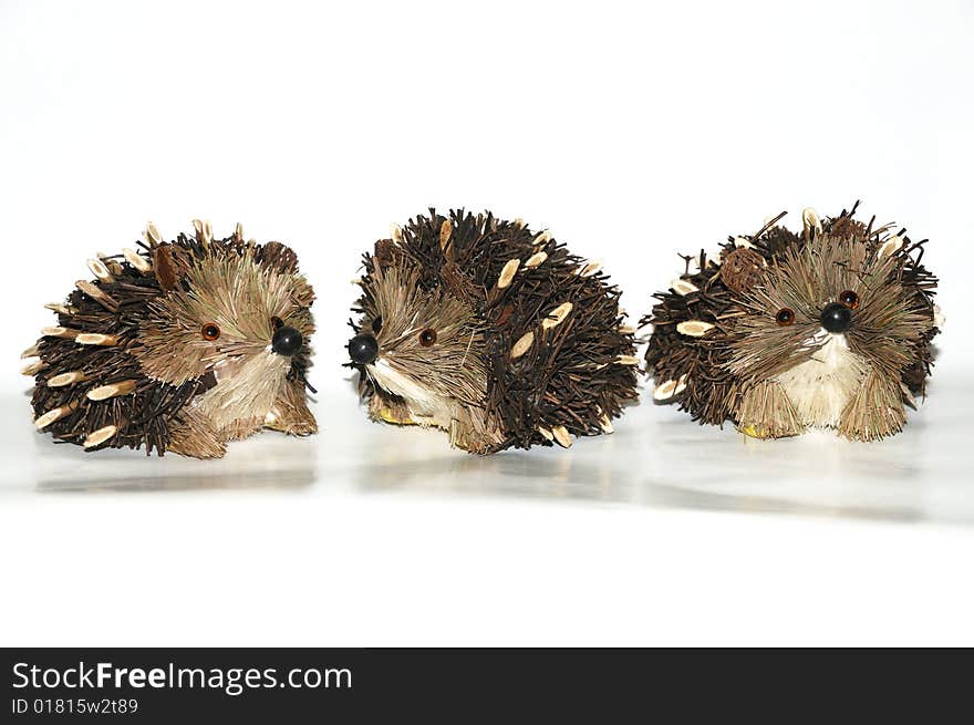 Hedgehogs