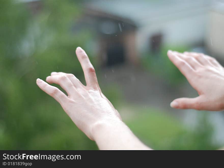 Woman Hands And  Raindrops