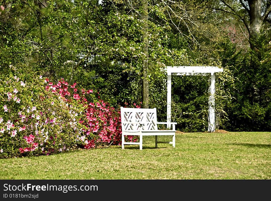 A garden bench surrounded by spring azaleas