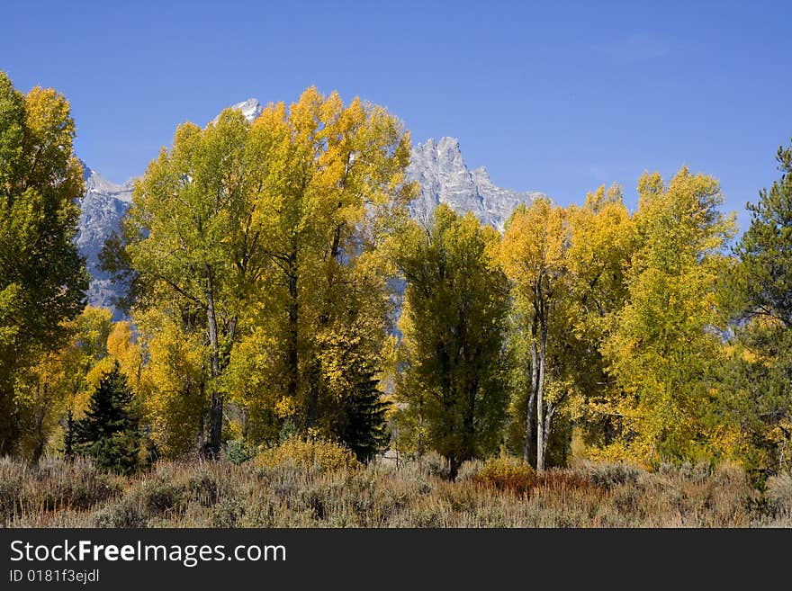 Grand Teton National Park in the Fall. Grand Teton National Park in the Fall