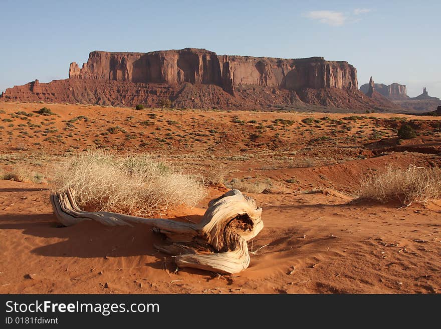 Monument valley in Utah USA showing desert and rocks with dead tree. Monument valley in Utah USA showing desert and rocks with dead tree