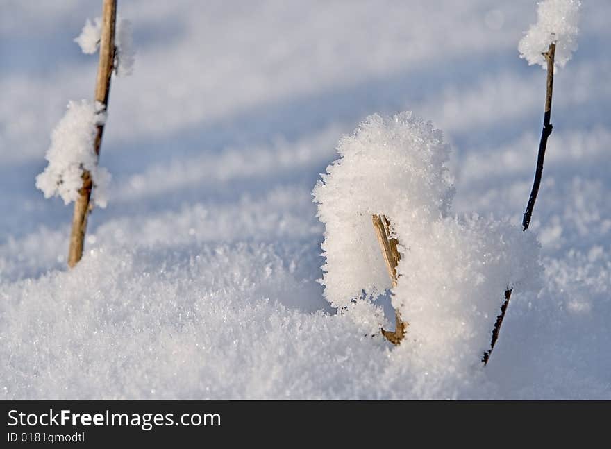 Winter detail