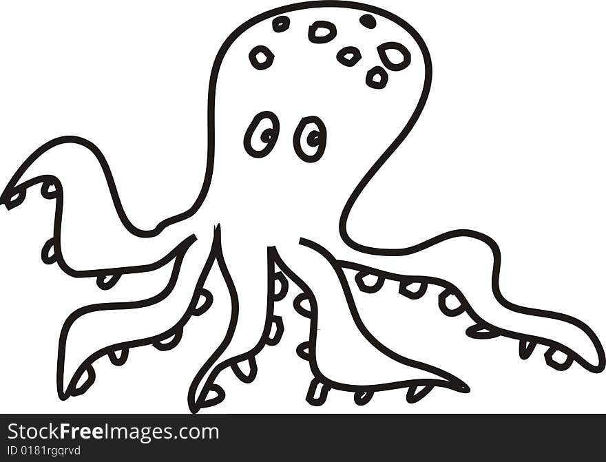 Octopus