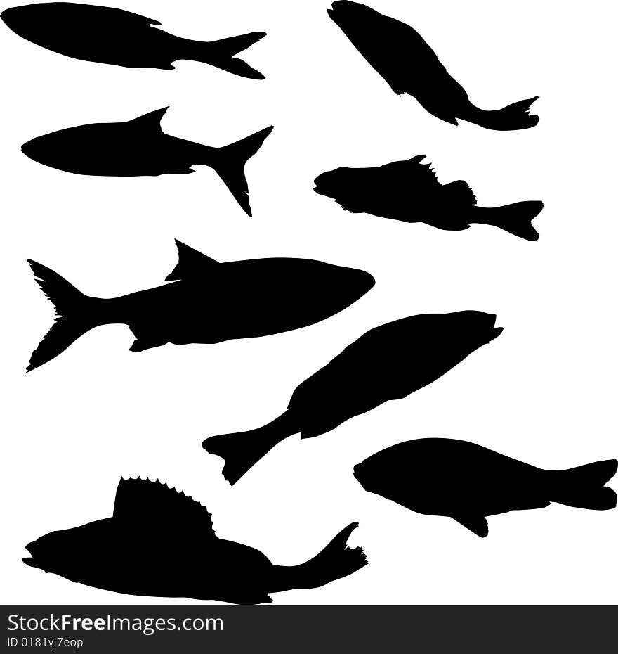 Eight fish silhouettes