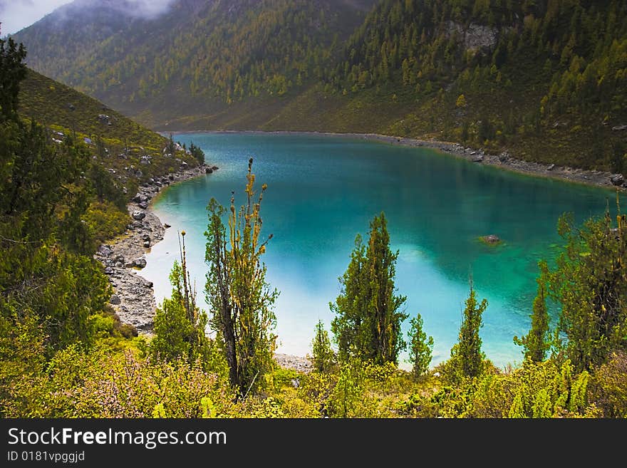 Beautiful lakes in the lake there is dense bush. Beautiful lakes in the lake there is dense bush