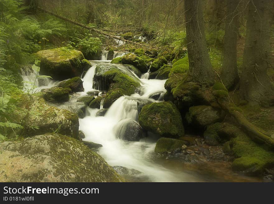 The mountain stream with cascades in a forest. The mountain stream with cascades in a forest