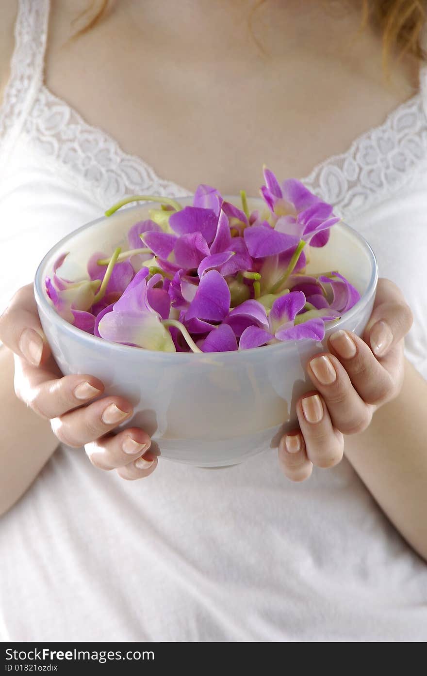 Woman hands holding vase with flowers. Isolated on white. Woman hands holding vase with flowers. Isolated on white